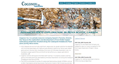 Desktop Screenshot of cogonov.com